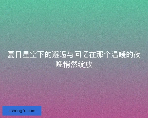 夏日星空下的邂逅与回忆在那个温暖的夜晚悄然绽放