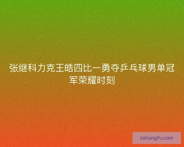 张继科力克王皓四比一勇夺乒乓球男单冠军荣耀时刻 张继科力克王皓四比一勇夺乒乓球男单冠军荣耀时刻