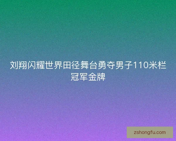 刘翔闪耀世界田径舞台勇夺男子110米栏冠军金牌